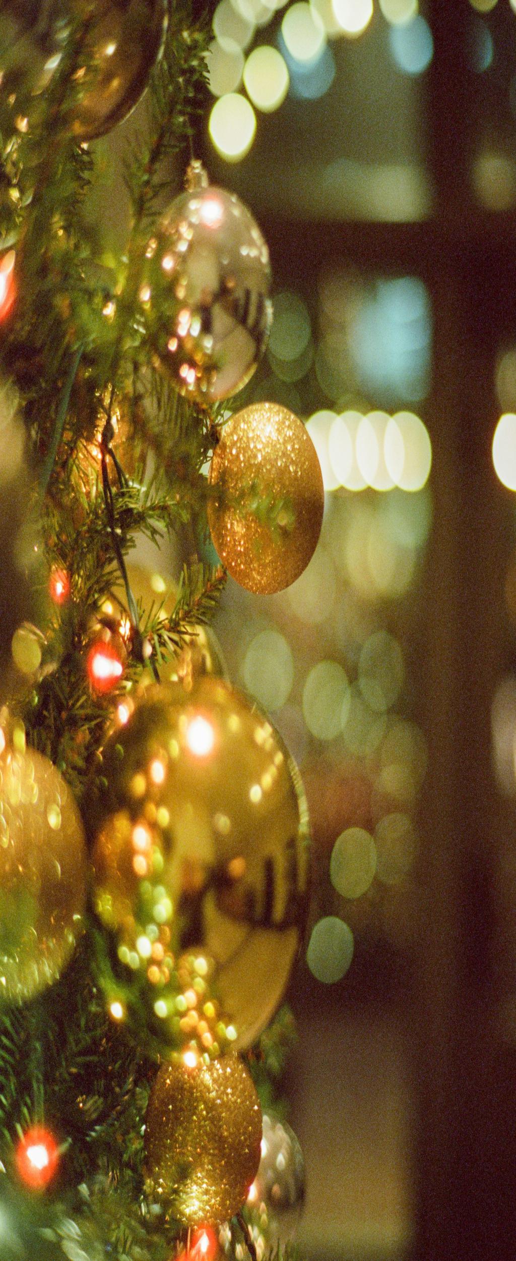 om Code to Compassion: How a Data Storyteller Turned Cold Numbers Into a Second Chance at Life