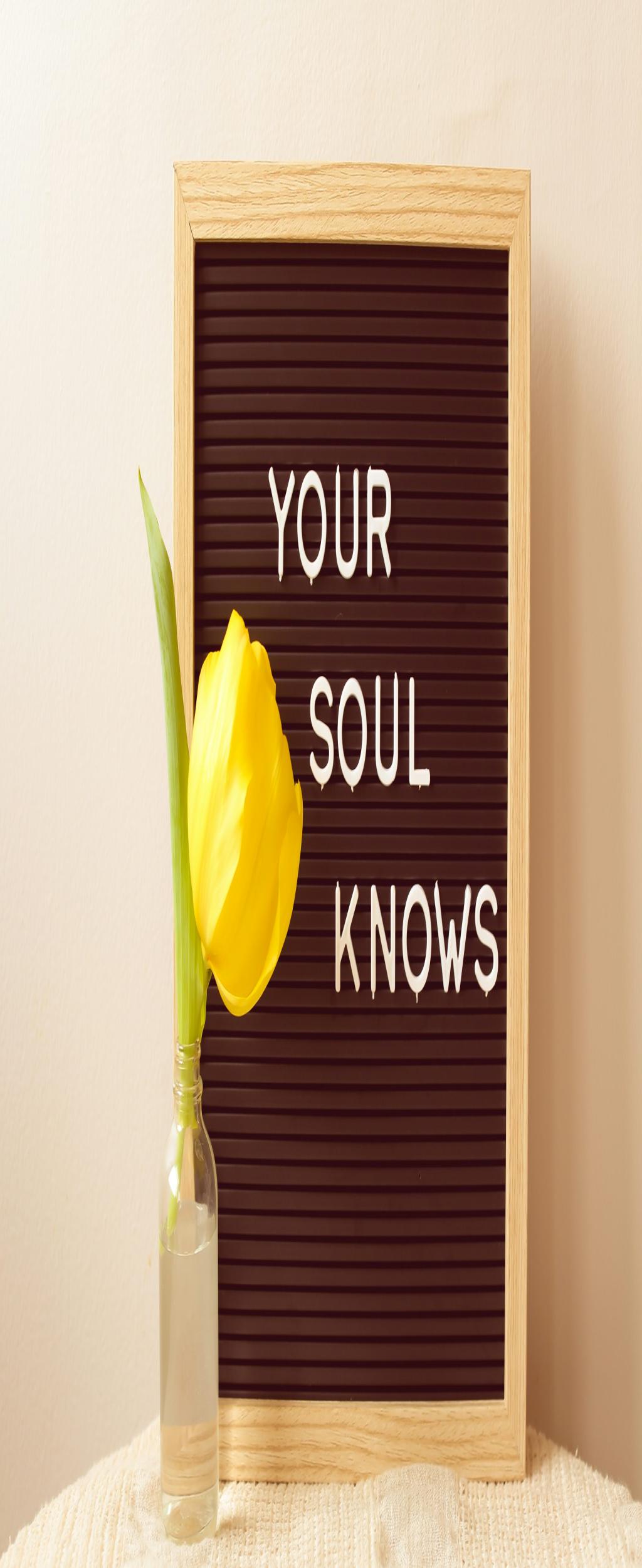 xelated Panic: The Hidden Costs of Tech Hype and Overconsumption  